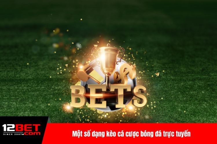 Cá Cược Bóng Đá Trực Tuyến - Soi Kèo Top 1 Hiện Nay