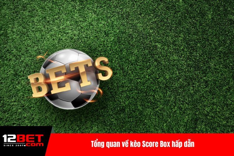 Kèo Score Box - Mẹo Chơi Giúp Bạn Giành Lợi Thế Top 1