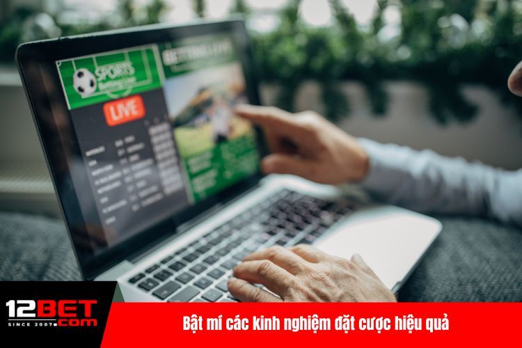 Cá Cược Bóng Đá Trực Tuyến - Soi Kèo Top 1 Hiện Nay